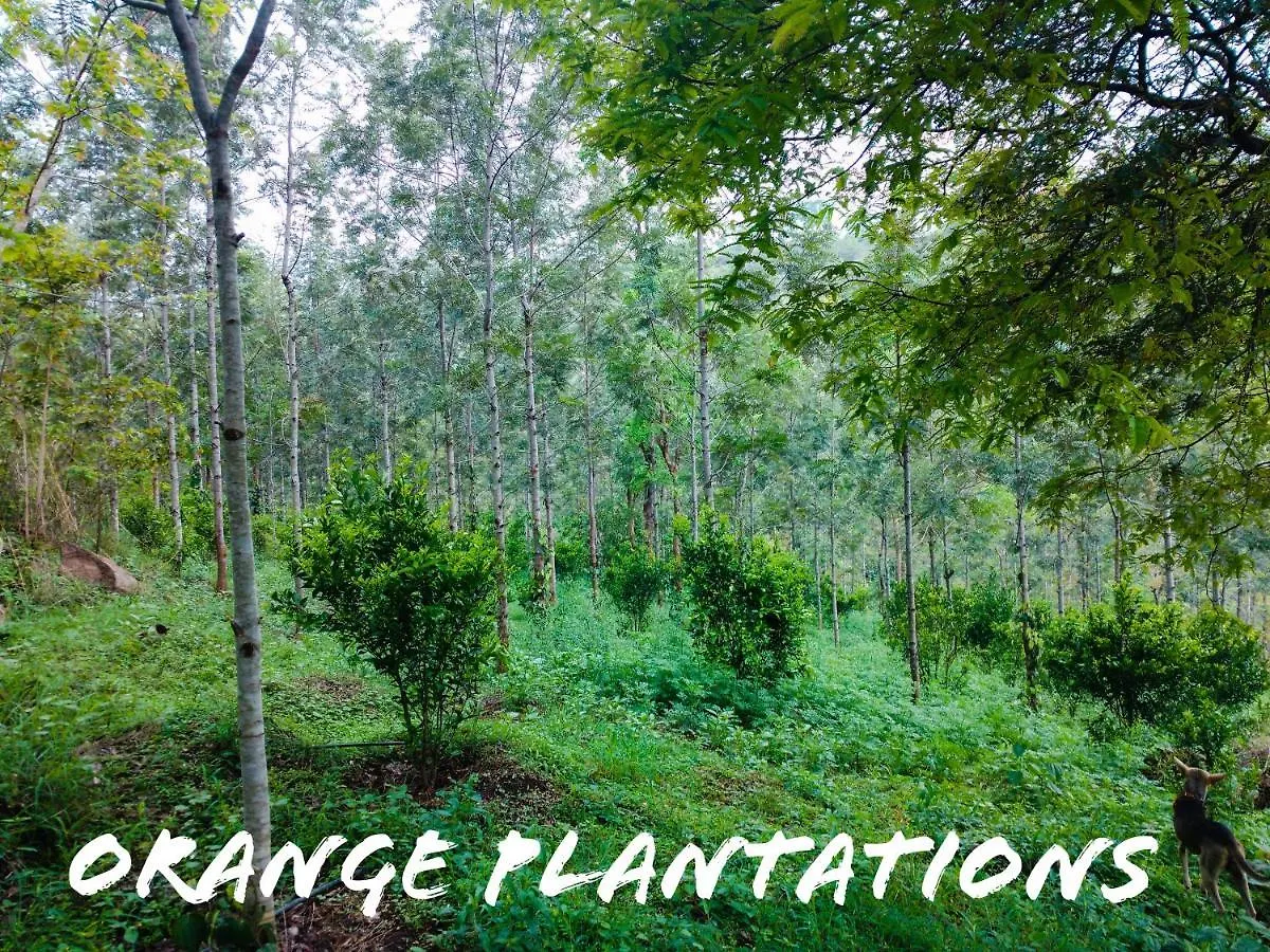 Windy Ridge Farm House-Kanthalloor 0*, Kanthalloor Indie